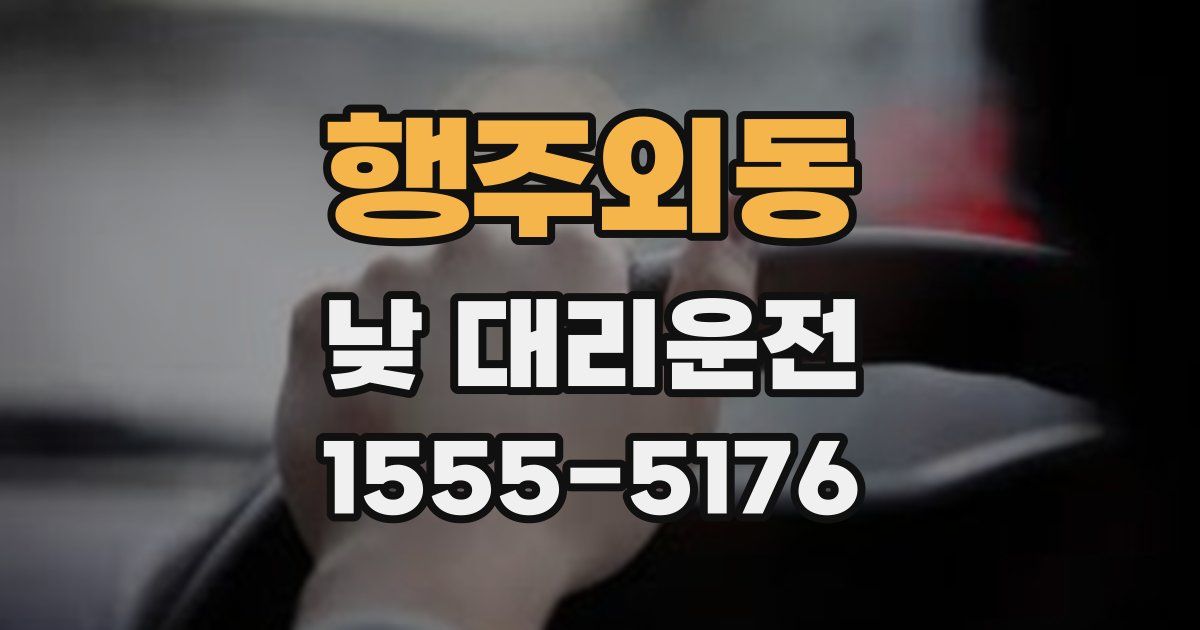 행주외동 낮 대리운전