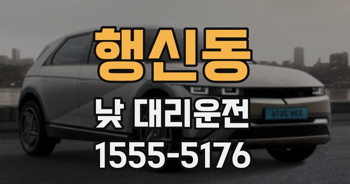행신동 낮 대리운전