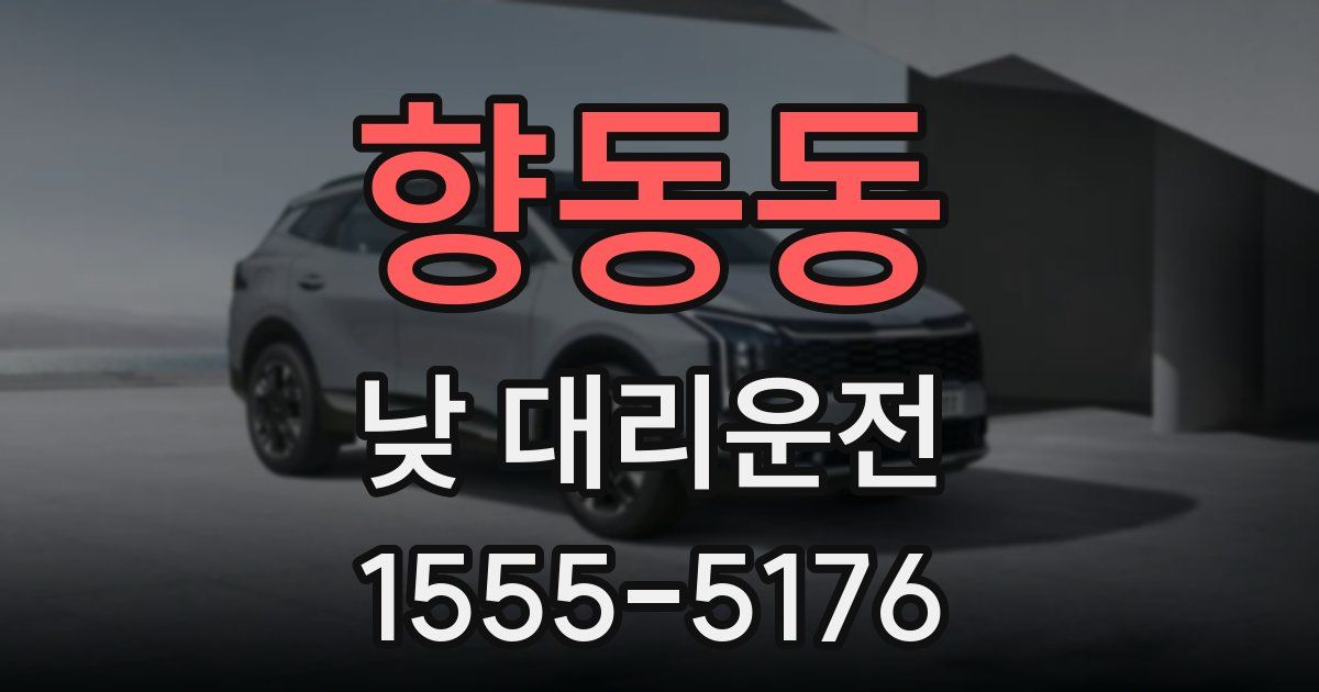 향동동 낮 대리운전
