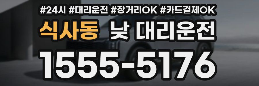 식사동 낮 대리운전