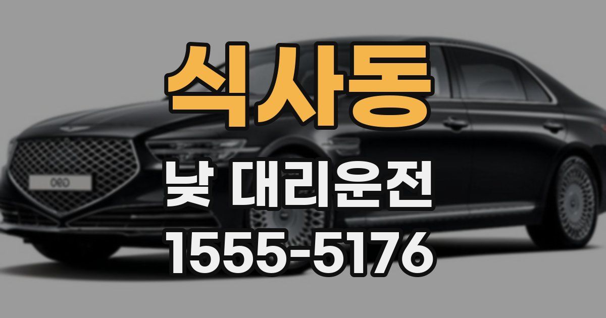 식사동 낮 대리운전