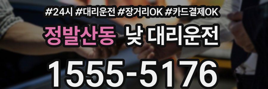정발산동 낮 대리운전