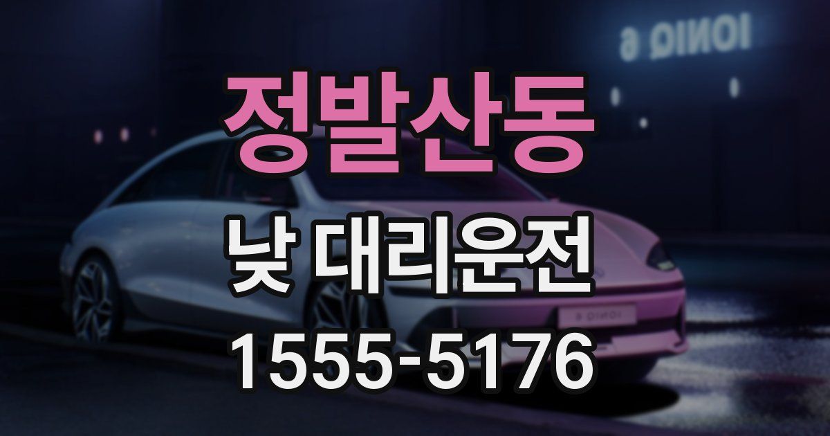 정발산동 낮 대리운전