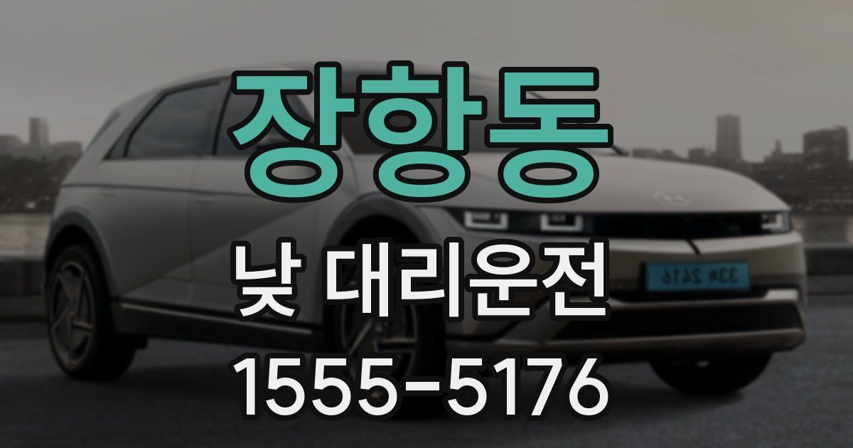 장항동 낮 대리운전