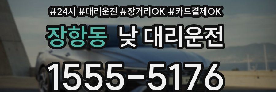 장항동 낮 대리운전