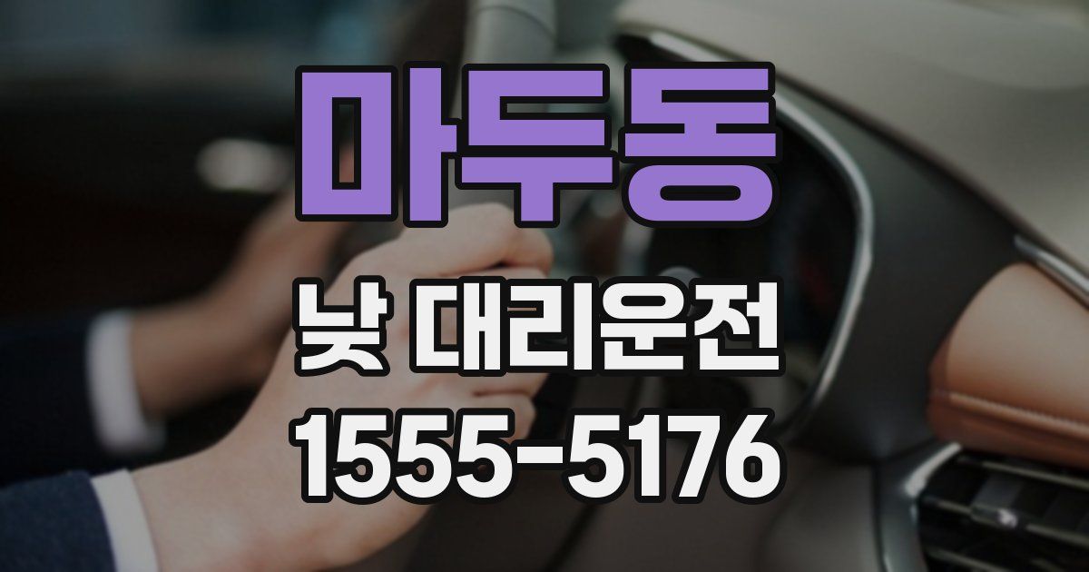 마두동 낮 대리운전