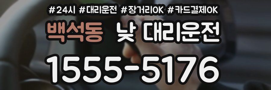 백석동 낮 대리운전