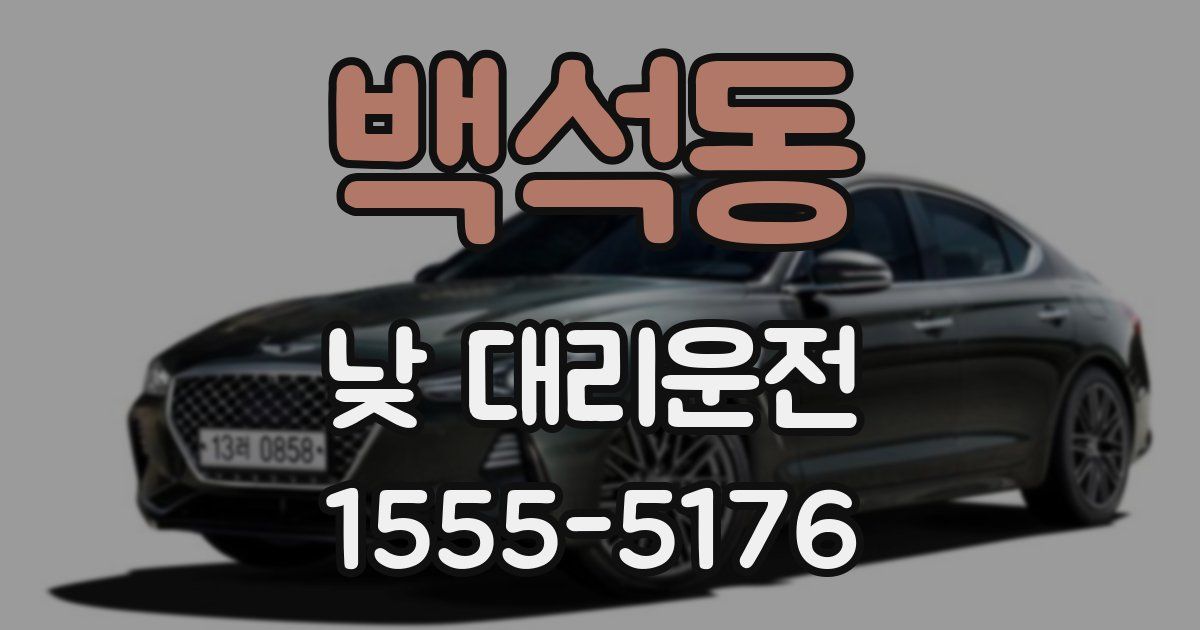 백석동 낮 대리운전