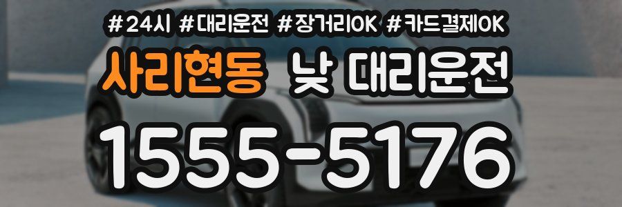 사리현동 낮 대리운전
