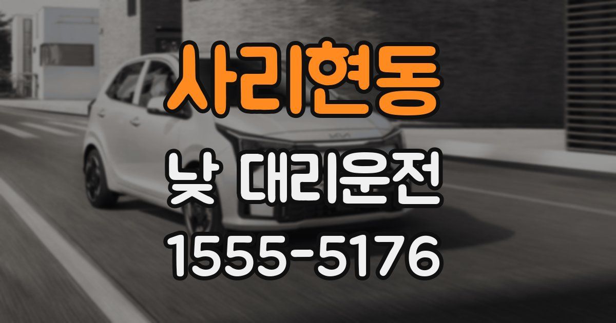 사리현동 낮 대리운전