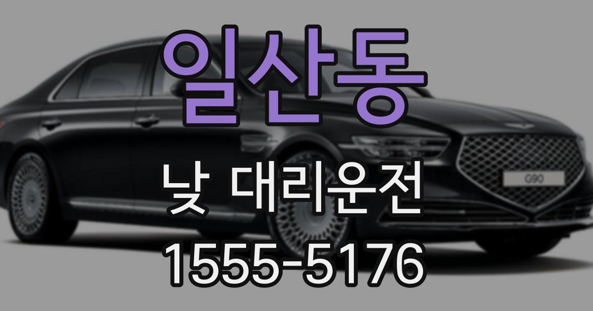 일산동 낮 대리운전