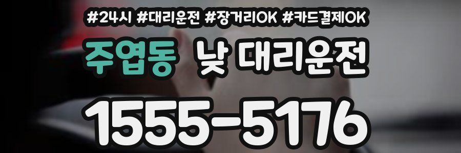 주엽동 낮 대리운전