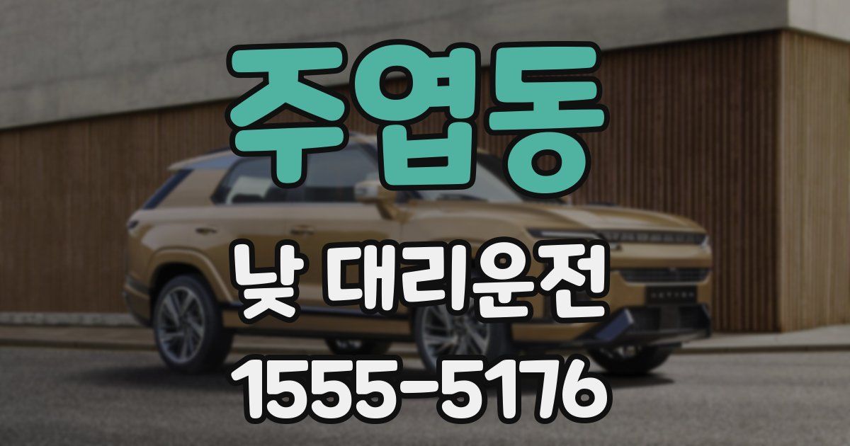 주엽동 낮 대리운전