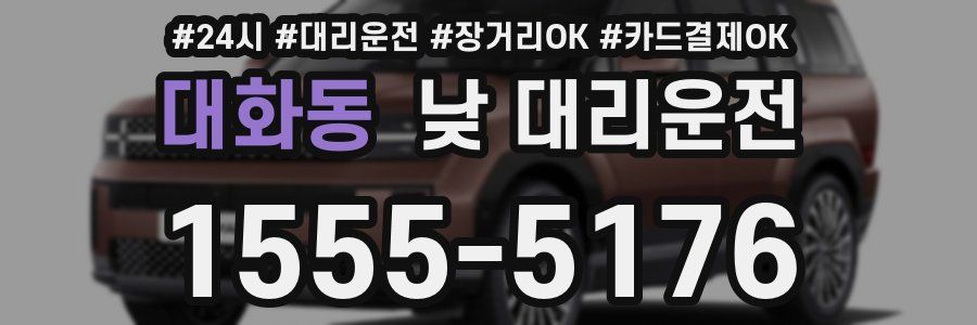 대화동 낮 대리운전