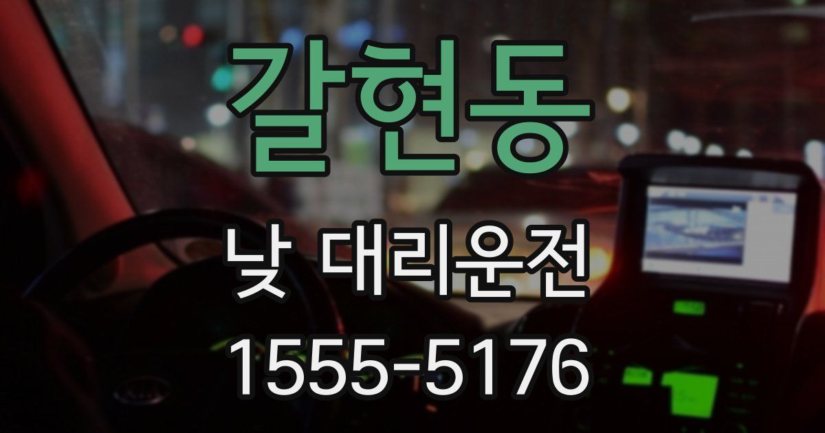 갈현동 낮 대리운전