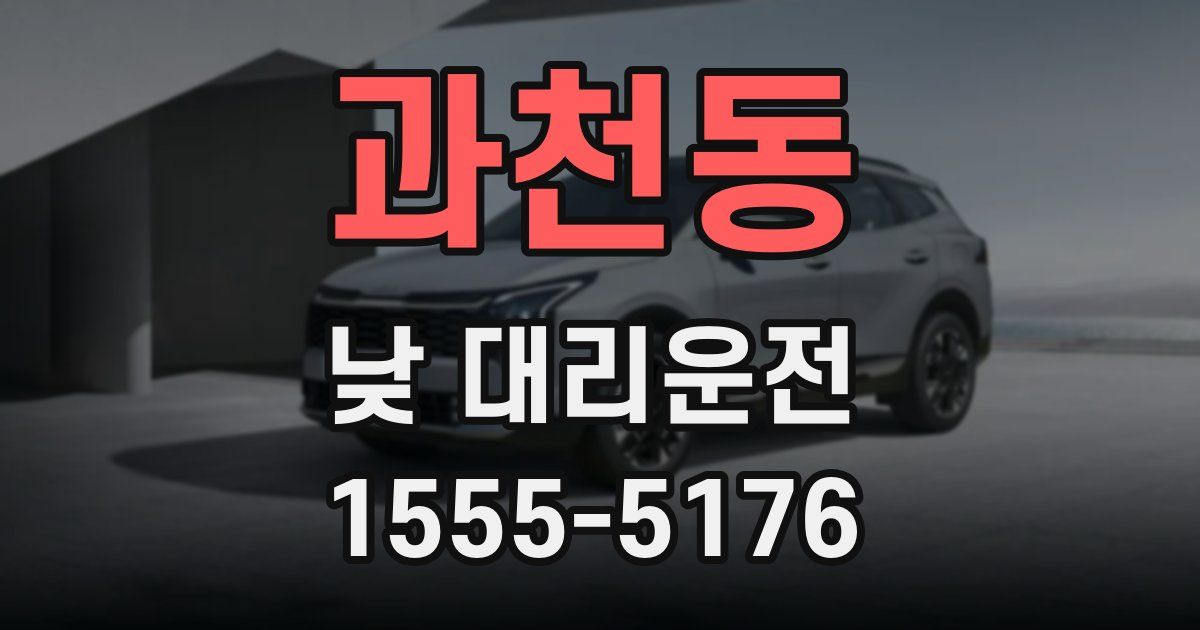 과천동 낮 대리운전