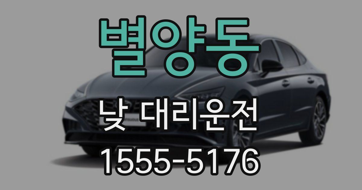 별양동 낮 대리운전
