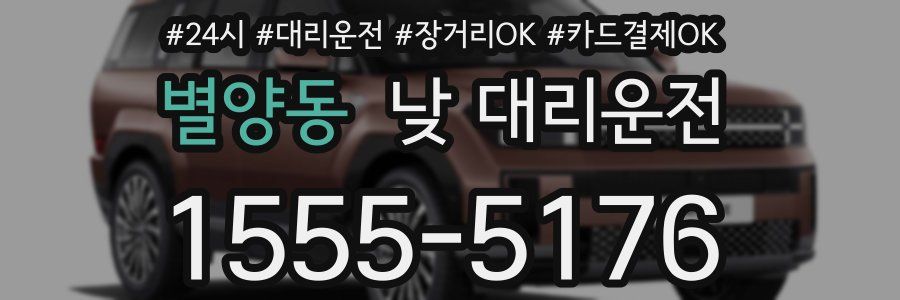 별양동 낮 대리운전