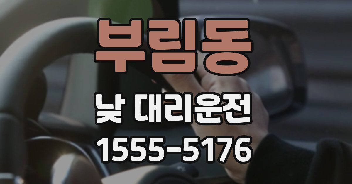 부림동 낮 대리운전