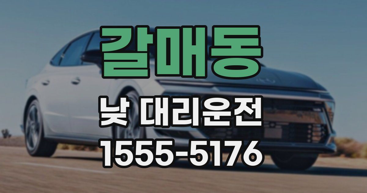 갈매동 낮 대리운전