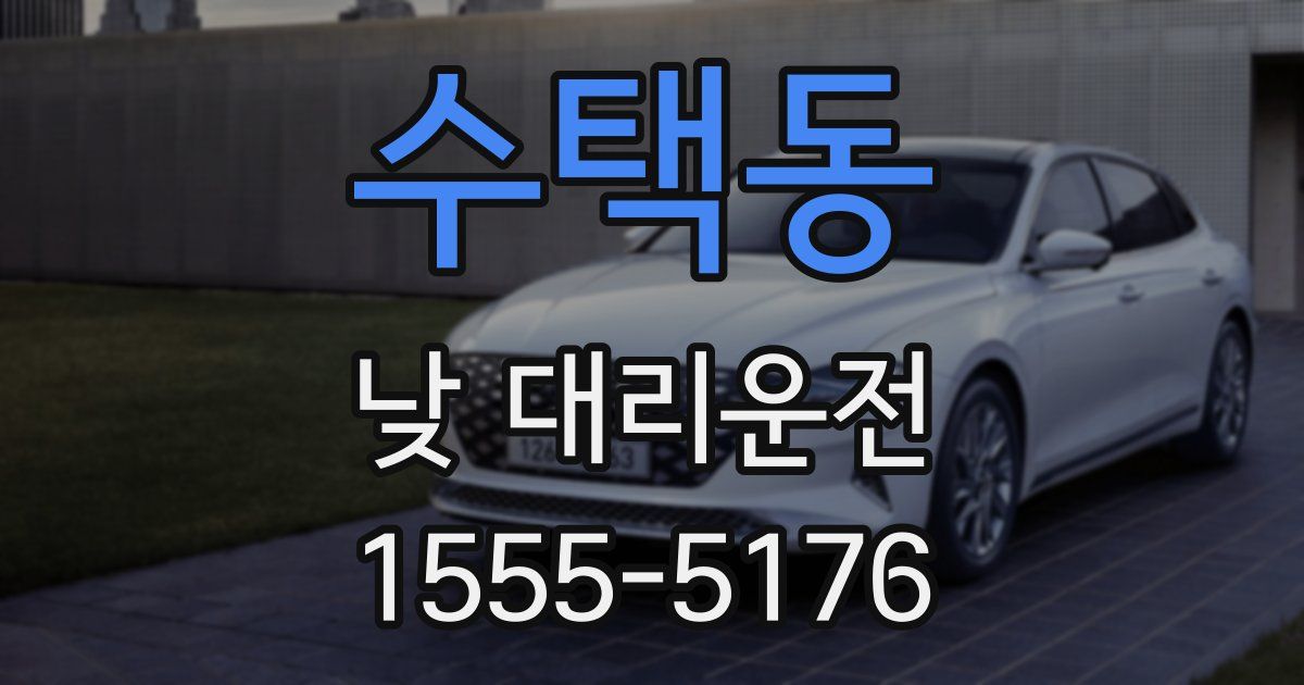 수택동 낮 대리운전