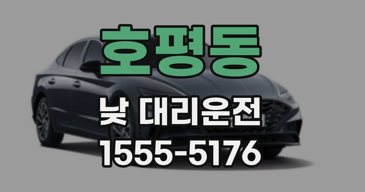 호평동 낮 대리운전