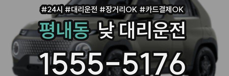 평내동 낮 대리운전