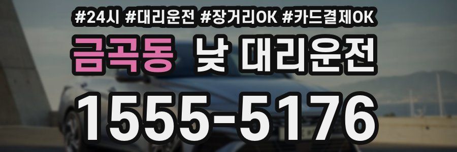 금곡동 낮 대리운전