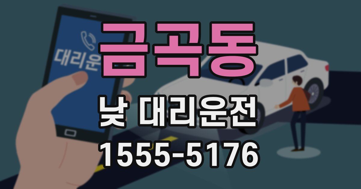금곡동 낮 대리운전