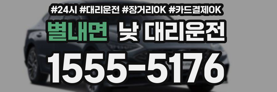 별내면 낮 대리운전