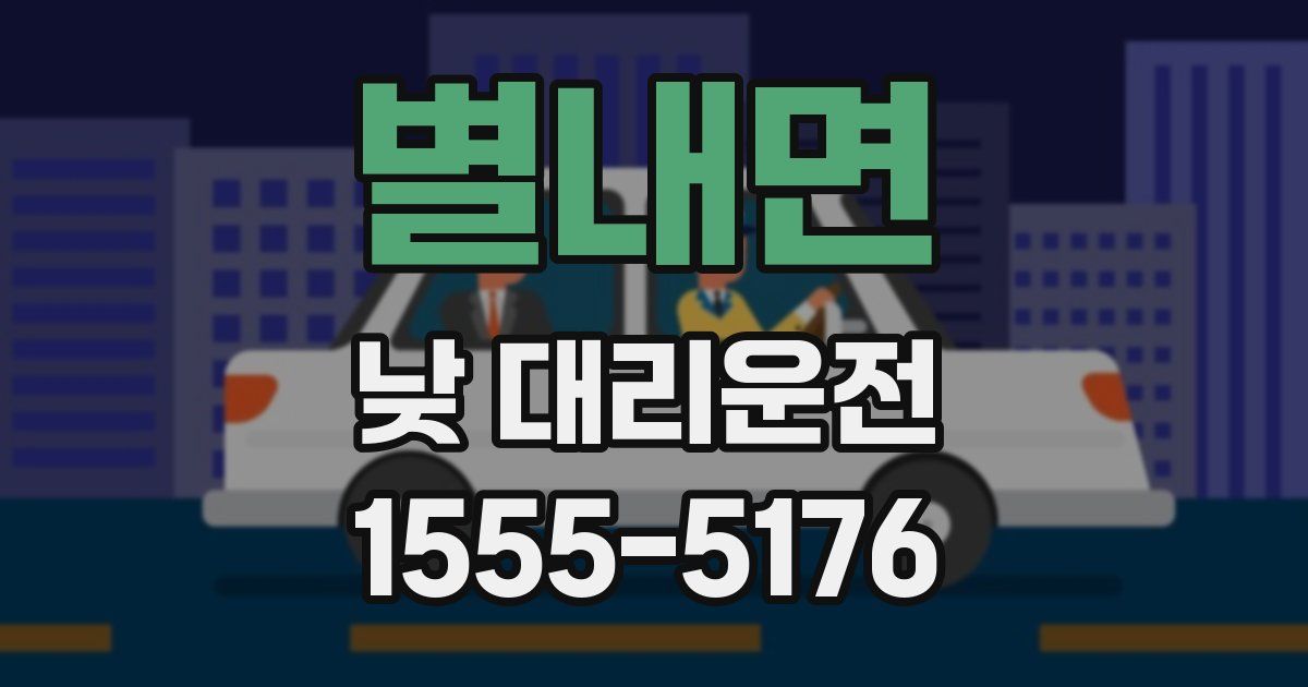 별내면 낮 대리운전