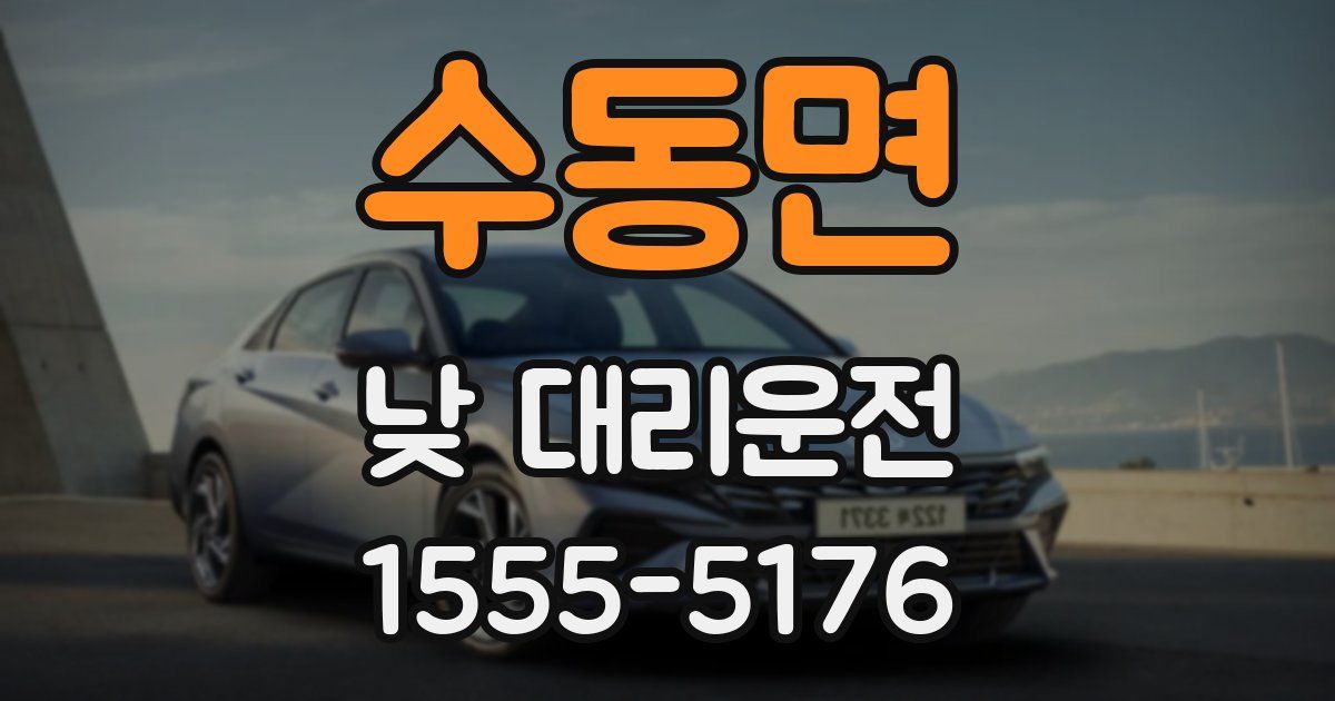 수동면 낮 대리운전