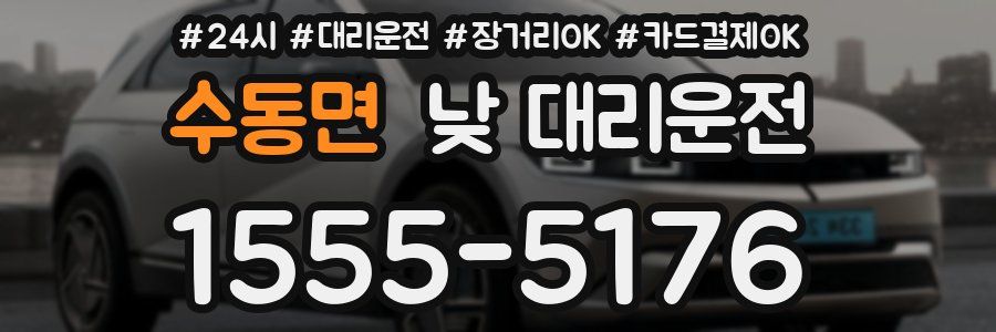수동면 낮 대리운전
