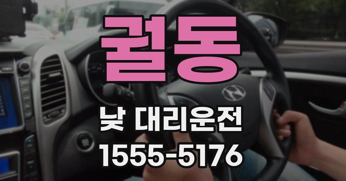 궐동 낮 대리운전