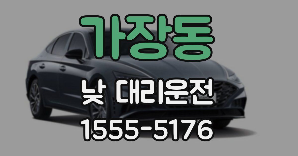 가장동 낮 대리운전