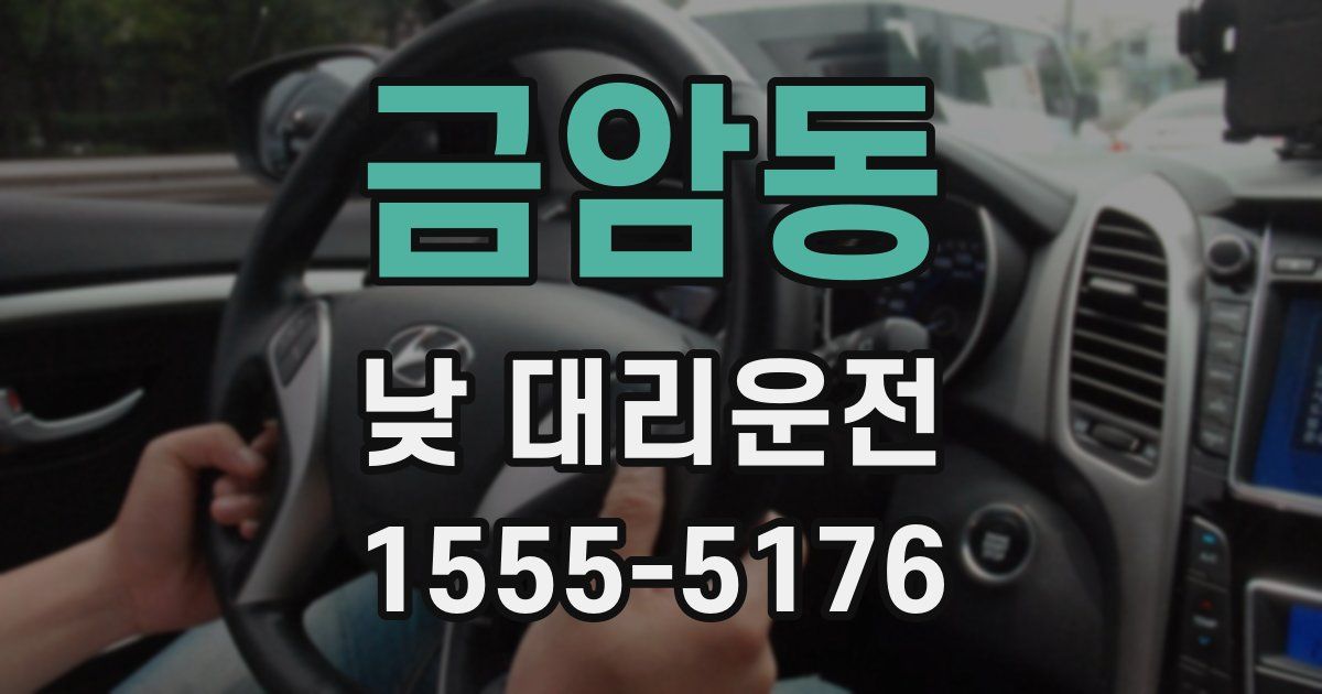 금암동 낮 대리운전