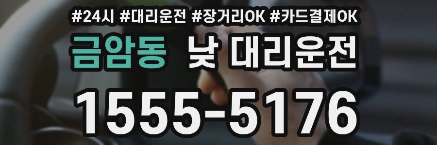 금암동 낮 대리운전