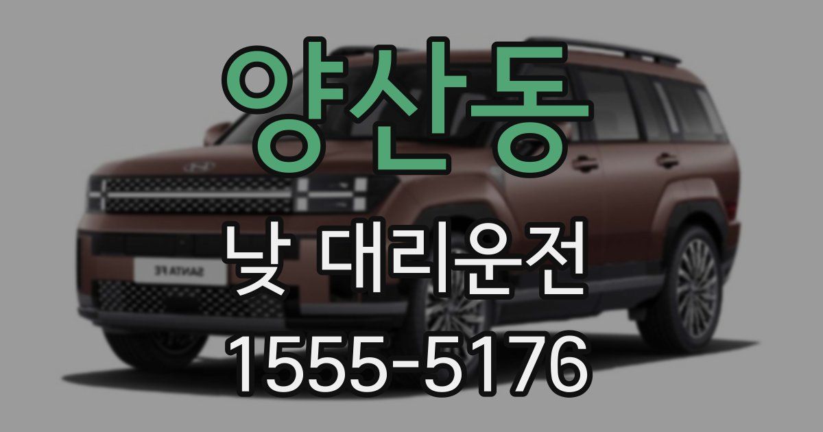 양산동 낮 대리운전
