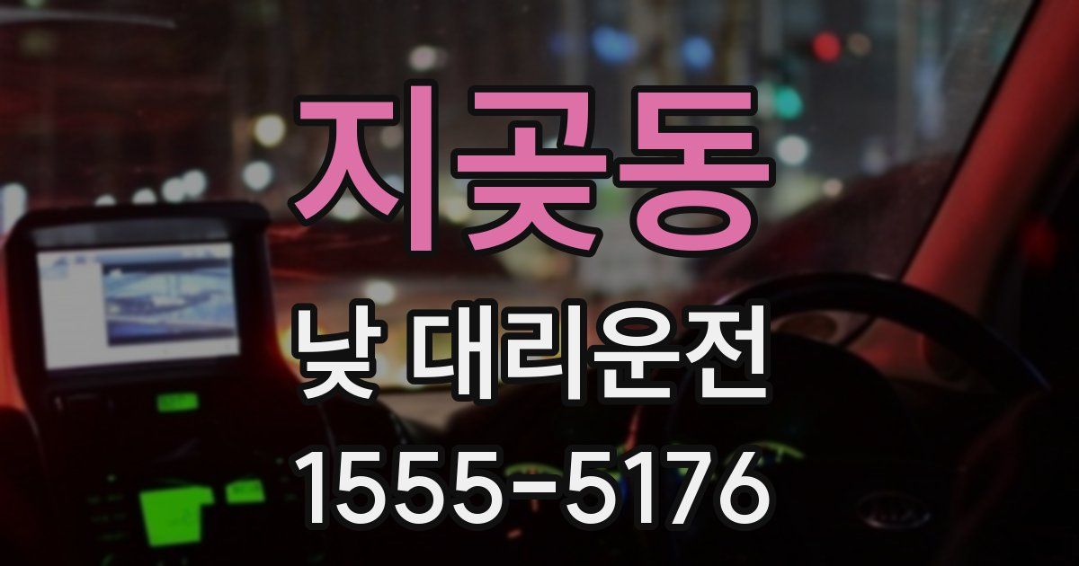 지곶동 낮 대리운전
