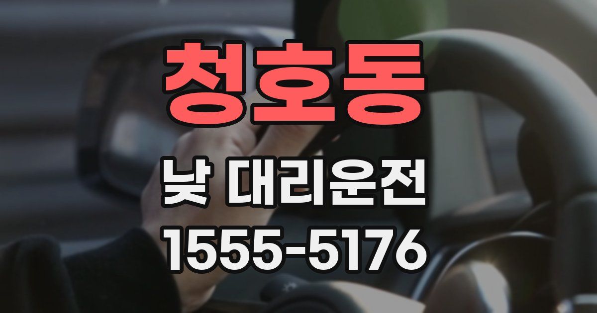 청호동 낮 대리운전