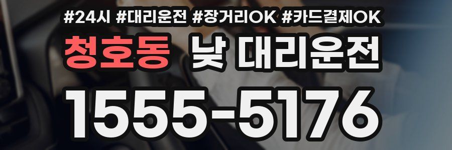 청호동 낮 대리운전