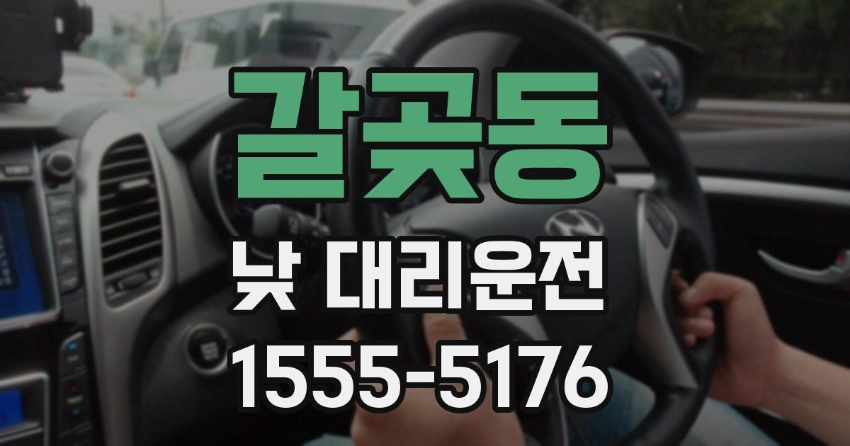 갈곶동 낮 대리운전