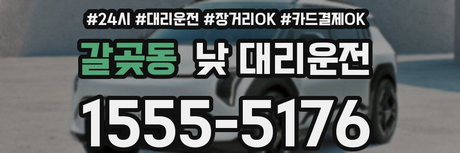 갈곶동 낮 대리운전