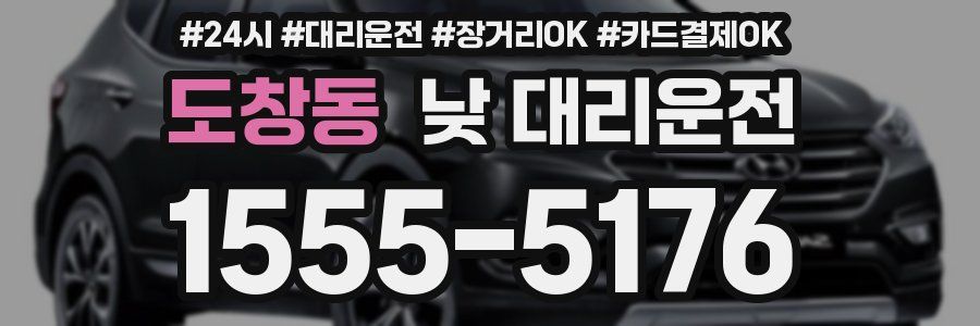도창동 낮 대리운전