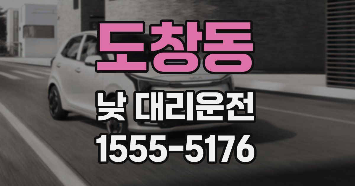 도창동 낮 대리운전