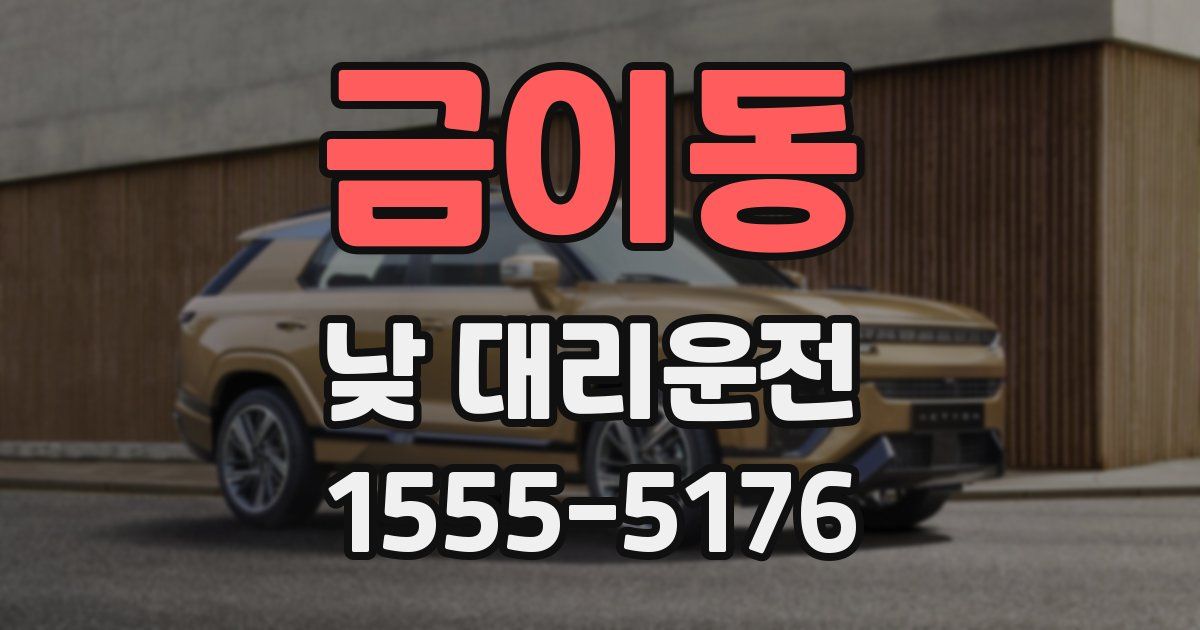 금이동 낮 대리운전