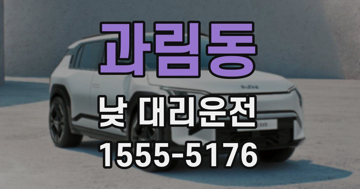 과림동 낮 대리운전