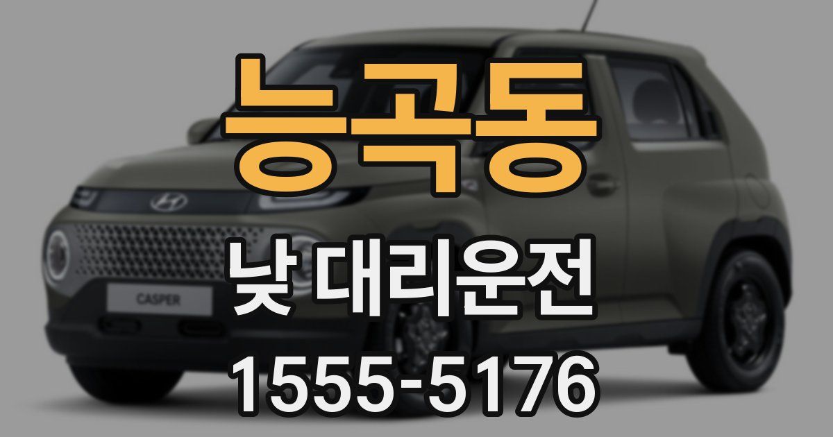 능곡동 낮 대리운전