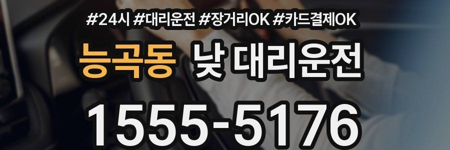 능곡동 낮 대리운전