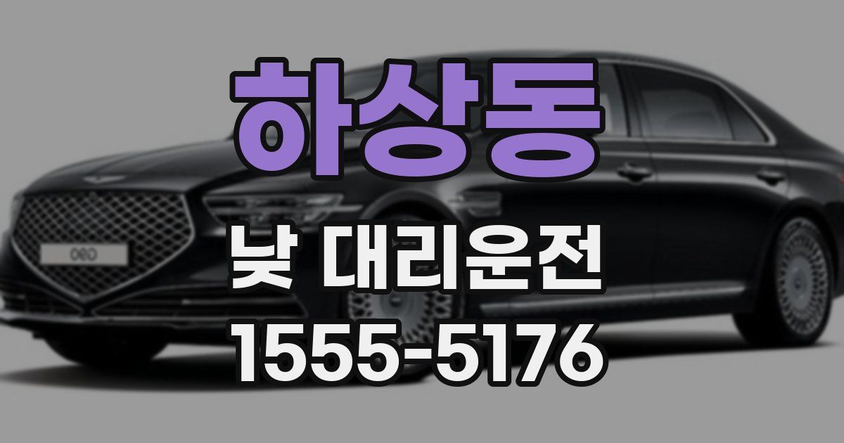 하상동 낮 대리운전